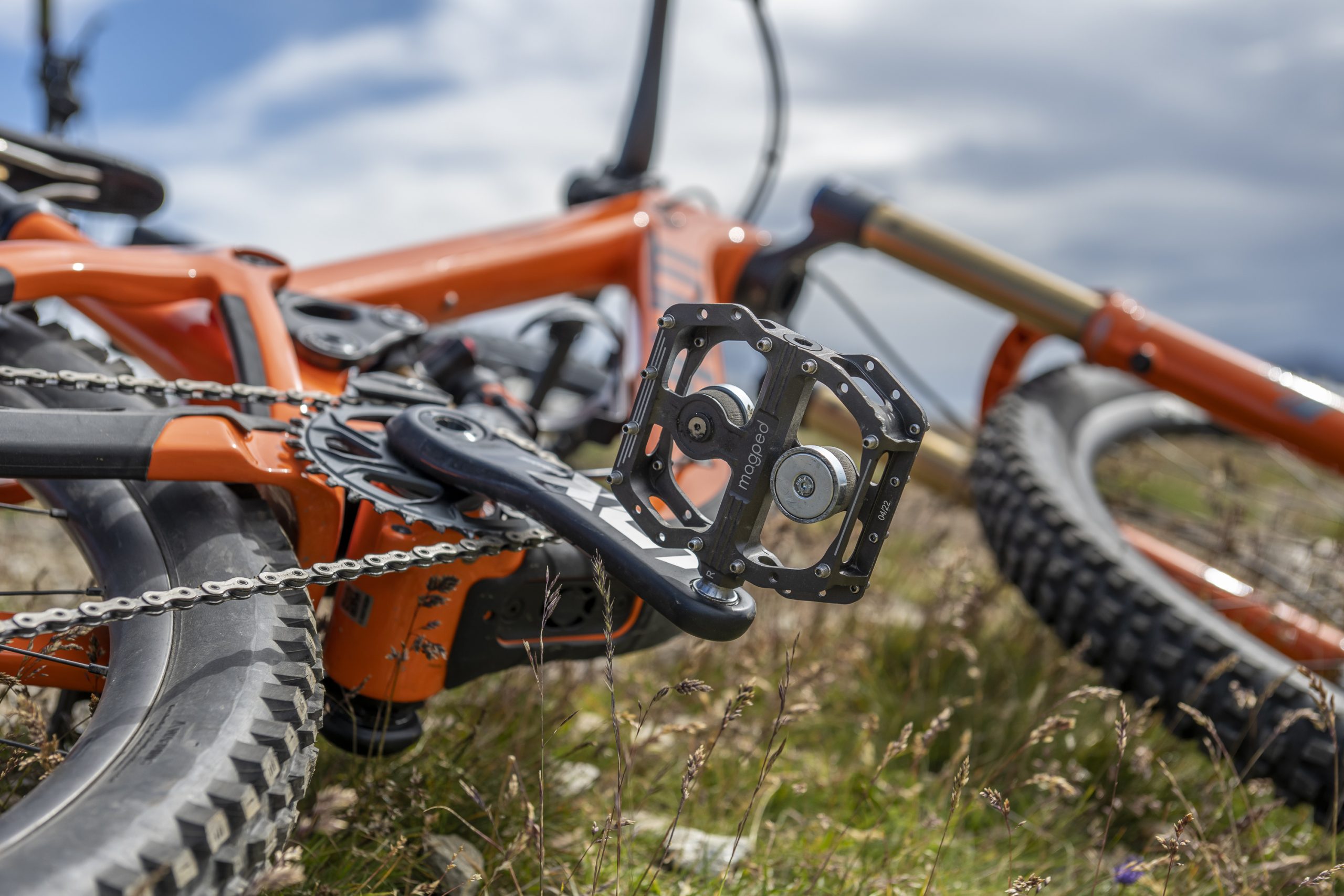 svg+xml,%3Csvg%20xmlns= magped