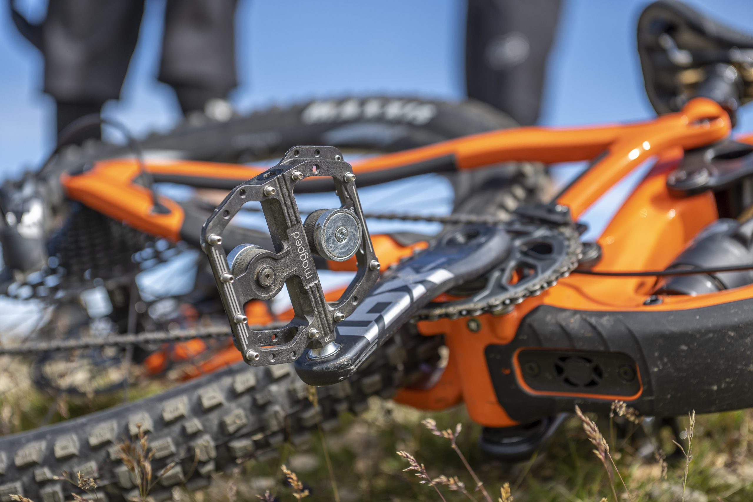 svg+xml,%3Csvg%20xmlns= magped