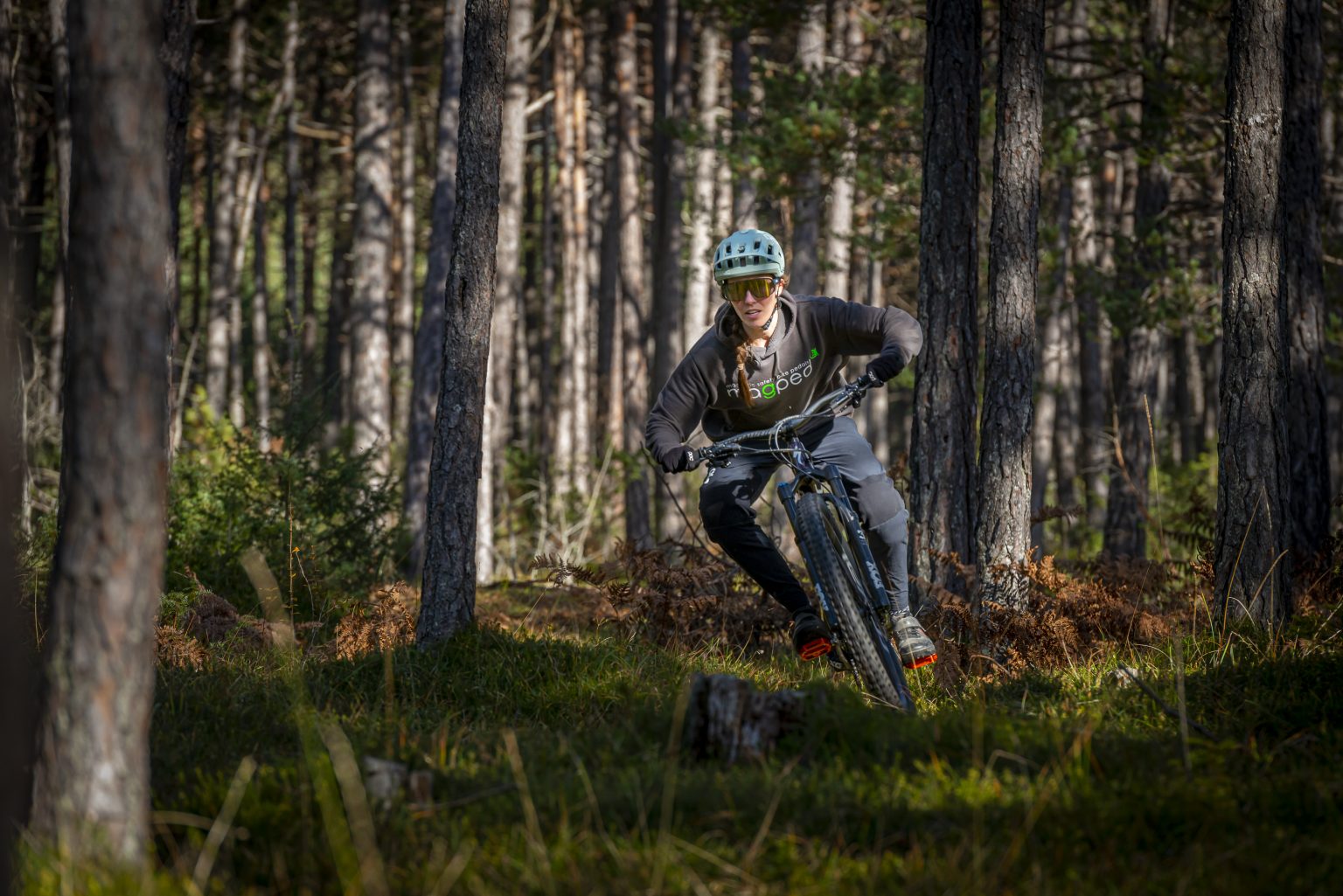 svg+xml,%3Csvg%20xmlns= magped